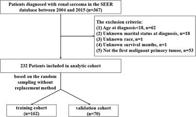 Development and validation of a prognostic nomogram for adult patients with renal sarcoma: A retrospective study based on the SEER database